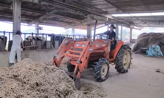 Anh Phan Doãn Huấn đang điều khiển máy xúc thức ăn cho đàn bò sữa. Ảnh: Phạm Anh