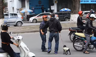 Kẻ hôi của xấu xí