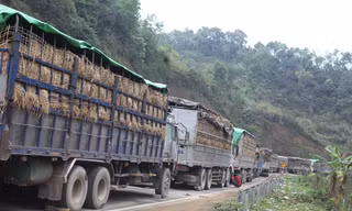 Cảnh ách tắc hàng nông sản những ngày qua ở tỉnh Lạng Sơn. Ảnh: Duy Chiến