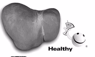 Phát hiện mới trong hỗ trợ điều trị viêm gan virus B mạn tính từ cây thuốc Việt Nam