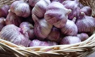 Tỏi tía