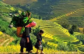 Một bộ phận người dân Tây Bắc vẫn bị kẻ xấu lợi dụng