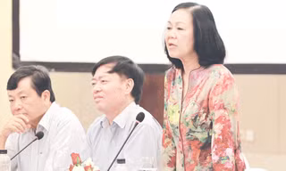 Bà Trương Thị Mai phát biểu tại hội thảo. Ảnh: Công Khanh
