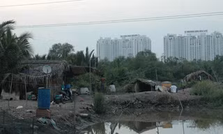 Buổi chiều trong xóm cá không tên ở quận 7. Ảnh: T.N.A