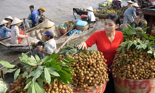 Cuộc sống người dân ĐBSCL sẽ bị ảnh hưởng nếu dòng Mê Kông không được đối xử một cách có trách nhiệm. Ảnh: T.L