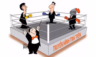 Truyền hình trả tiền: Cạnh tranh khốc liệt