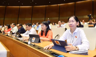 Thành lập Thanh tra Tổng cục, Cục không được làm tăng số lượng đầu mối