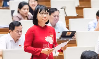 Đại biểu Quốc hội quan ngại doanh nghiệp 'ma' xuất hóa đơn khống 64.000 tỷ 