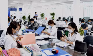 Hoàn thành việc xếp ngạch công chức trước ngày 1/7