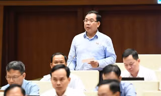 Đại biểu Quốc hội: Rất khó để quy định 'gợi ý' học thêm trong Luật Nhà giáo