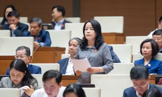 Chất vấn thời điểm xác định trị giá tài sản vụ án Vũ 'nhôm' và cựu Chủ tịch Đà Nẵng Trần Văn Minh