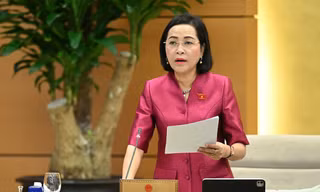 Chỉ định nhân sự giữ chức trưởng đoàn, phó trưởng đoàn đại biểu Quốc hội