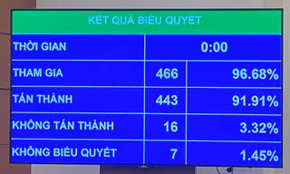 Quốc hội biểu quyết thông qua Luật Bảo vệ môi trường (sửa đổi) với đa số đại biểu tán thành