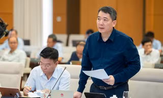 Doanh nghiệp chịu trách nhiệm toàn diện mà cái gì cũng phải đi xin