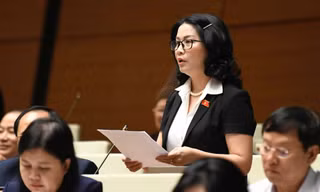 GS.TS Nguyễn Thị Lan: Cần cơ chế đặc thù để mở ngành đào tạo phòng chống thiên tai