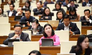 Có nên 'bình thường hóa' kỳ họp bất thường?