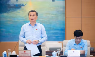Làm rõ nguyên nhân gây ra khoản lỗ của các doanh nghiệp phát triển năng lượng