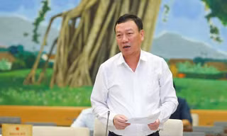 Tổng thanh tra Chính phủ Đoàn Hồng Phong