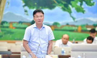 Còn tình trạng thông đồng, móc nối, lợi dụng các tổ chức 'sân sau' để đấu giá 