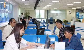 Quy định mới về chuyên môn, nghiệp vụ đối với công chức chuyên ngành
