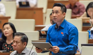 'Không được ngăn chặn, cản trở việc phổ biến, sử dụng Quốc kỳ, Quốc huy, Quốc ca'