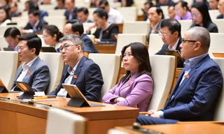 Chính phủ đề xuất phân bổ 2.526 tỷ đồng để EVN cấp điện cho huyện Côn Đảo