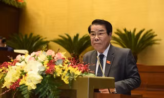 Trưởng ban Dân nguyện Dương Thanh Bình 