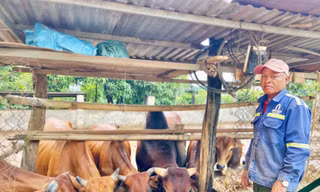 Người tiên phong làm kinh tế giỏi tại buôn cổ nhất Tây Nguyên