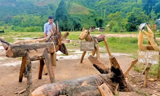 Không gian xanh nhờ thùng rác hình thú ngộ nghĩnh của thanh niên vùng sâu