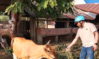 ‘Chìa khoá’ giúp bà con dân tộc thiểu số phát triển kinh tế