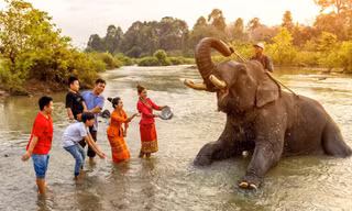 Dàn voi tập duyệt cho Lễ hội cà phê Đắk Lắk