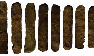 Bí ẩn bảo vật quốc gia 3.500 năm