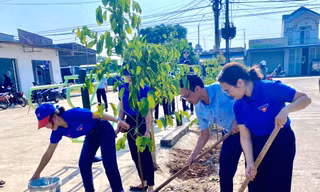 Thành phố Buôn Ma Thuột trồng mới ít nhất 5.000 cây xanh 