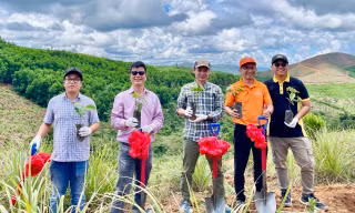 Khát vọng nâng tầm cà phê Việt với mô hình canh tác hữu cơ