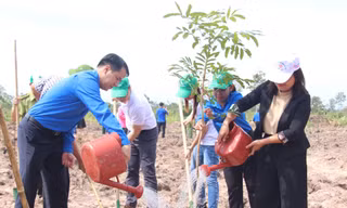 Trung ương Đoàn tham gia trồng mới 101.000 cây xanh rừng đầu nguồn