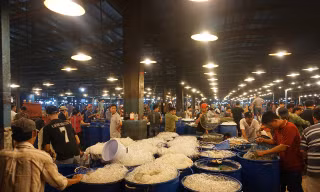 Nhộn nhịp chợ cá lóc trước ngày vía Thần tài