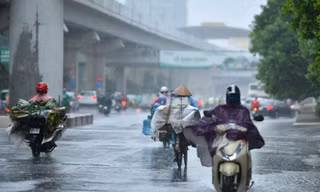 Những ngày cuối tháng 7, đầu tháng 8, hầu khắp các khu vực trên cả nước đón mưa lớn. 
