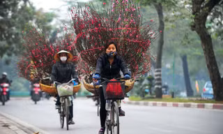 Tết nguyên đán thời tiết ấm, có mưa phùn