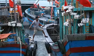 Ngư dân đưa thuyền vào nơi an toàn để trú bão