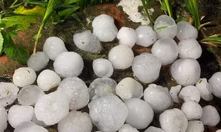 Kinh hoàng mưa đá to như quả trứng ở các tỉnh phía Bắc