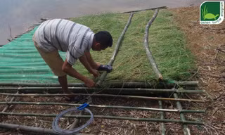 Bè nổi được làm từ tre và cỏ trên các đảo hồ Đồng Mô.