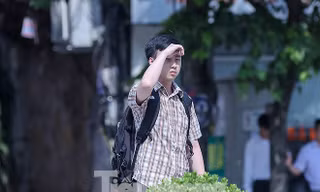 Thời tiết 7 ngày tới trên cả nước ra sao?