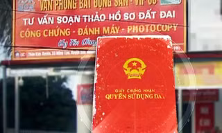 Bản tin 8H: Tạm đình chỉ công tác chủ tịch và công chức địa chính xã Tam Đa