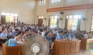 Bản tin 8H: Em trai phó chủ tịch huyện đấu giá trúng 23 lô đất