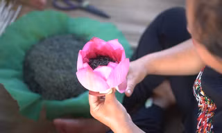 ‘Đệ nhất danh trà’ giá hàng chục triệu đồng/kg ở Hà Nội được làm như thế nào?