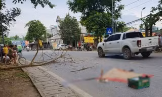 Hiện trường vụ việc thương tâm.