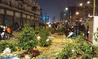 Hàng loạt cây quất bị người dân bỏ lại vào tối 30 Tết tại khu vực đường Tố Hữu kéo dài.