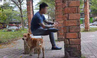 Chó thả rông, không rọ mõm, không đi cùng chủ ở khuôn viên chung cư Ehome3 (TPHCM) Ảnh: H.H