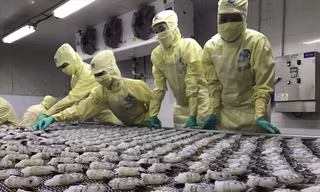 Thủy sản là 1 trong 7 mặt hàng xuất khẩu chính, nhưng trong tháng 7, kim ngạch đã giảm gần 6% so với tháng trước. Ảnh: Nam Khánh