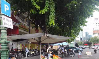 Chiếm dụng khu vực đỗ xe có thu phí trên đường Phan Chu Trinh, quận 1 Ảnh: H.H